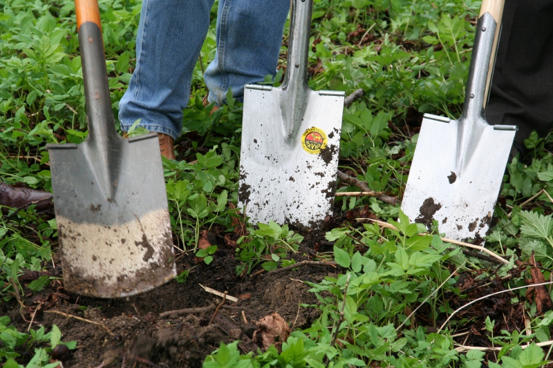 pepiniere-FAYENCE-min_work-lawn-flower-tool-green-backyard-1103633-pxhere.com